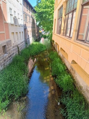 IMG_20260523_122424052_HDR~2.jpg