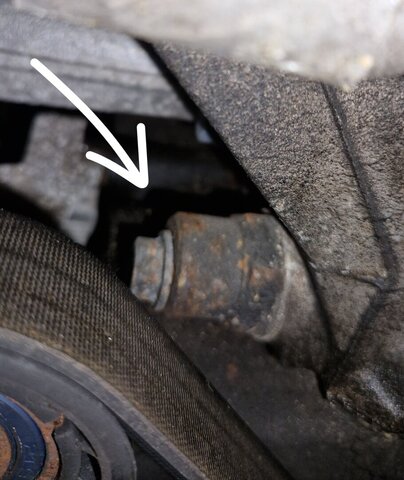 20260621_092523.jpg
