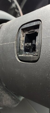 IMG_20260612_132959242.jpg