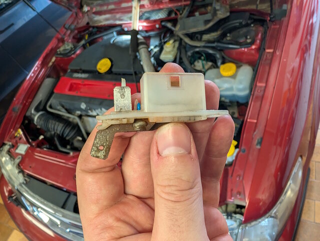 stecker_01.jpg
