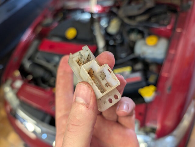 stecker_02.jpg