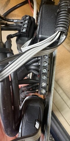 IMG_7939.jpeg