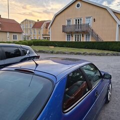 blueviggen